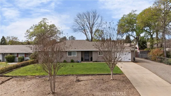 a view of a house with a small yard plants and a large tree