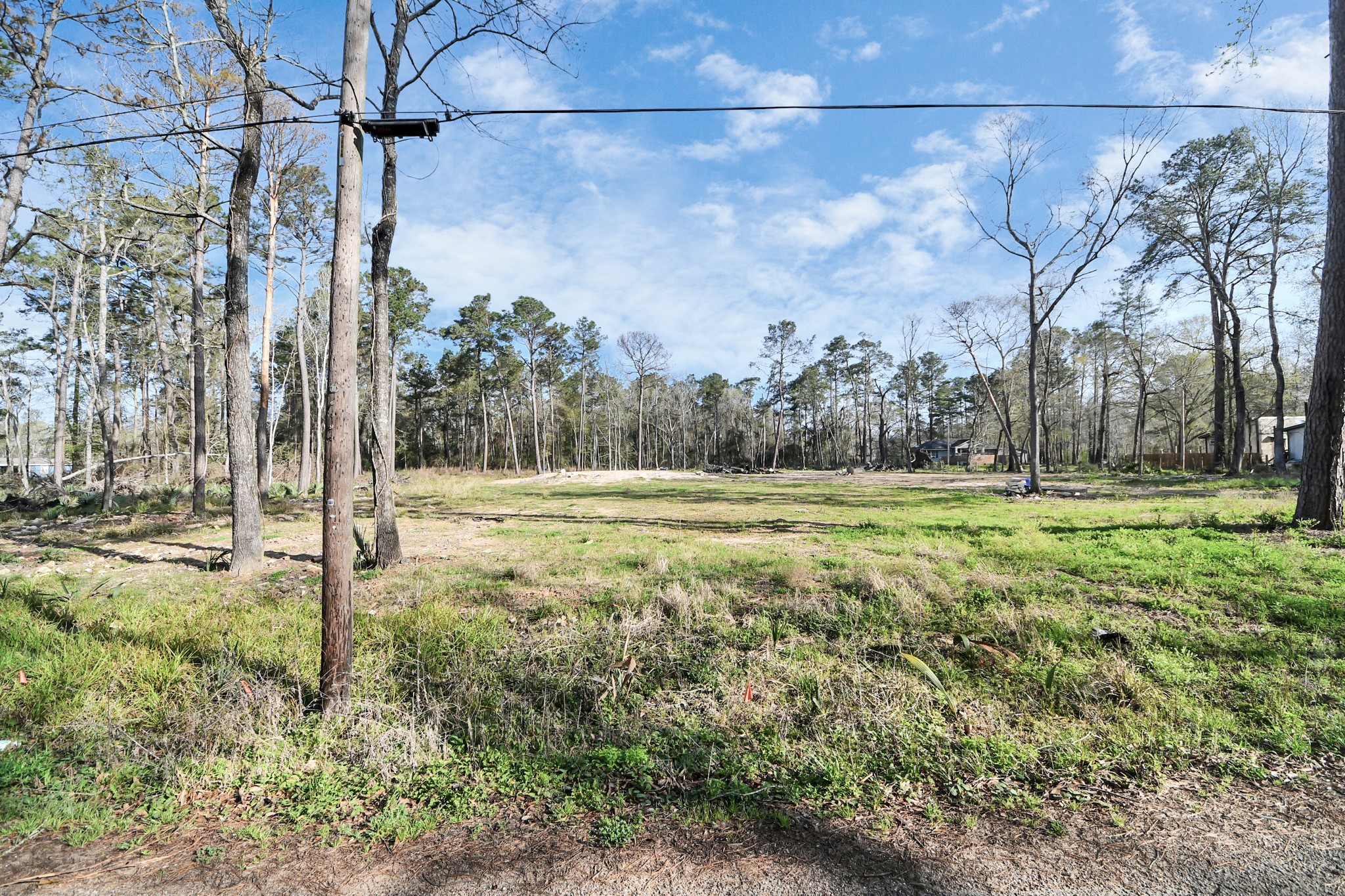 16915 Payne Road Conroe, TX 77302 - Photo 4 of 22 Gallery Image 4
