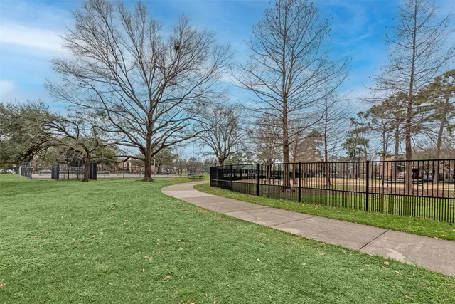 a view of a park with large trees