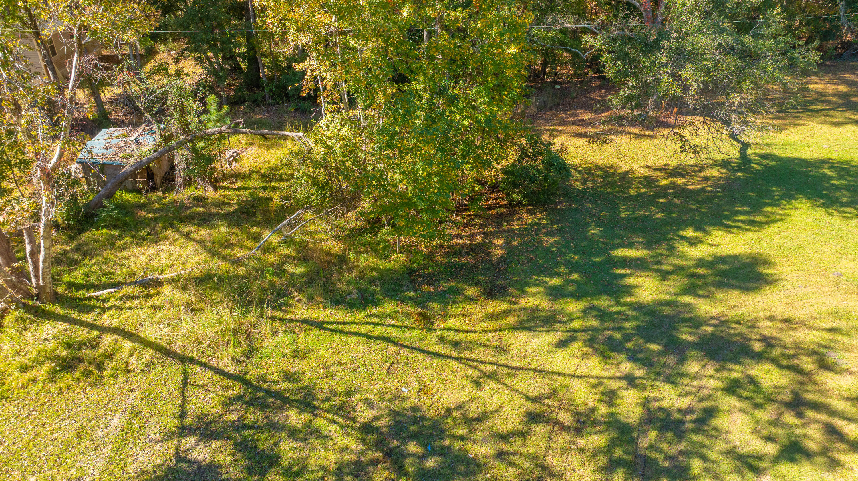 5293 Mains Nursery Road Hollywood, SC 29449 - Photo 9 of 10 5293MainsNurseryRd007