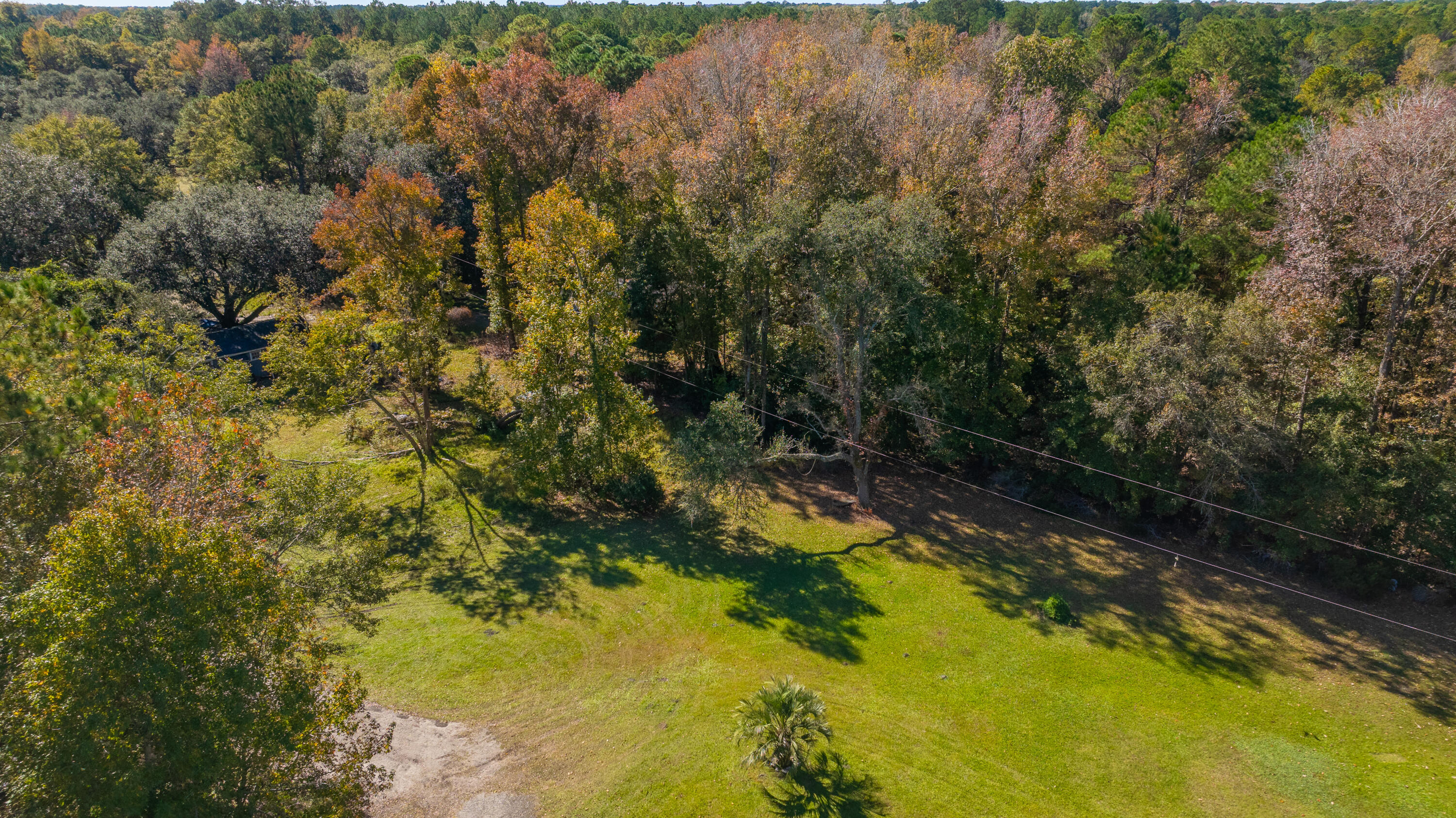 5293 Mains Nursery Road Hollywood, SC 29449 - Photo 10 of 10 5293MainsNurseryRd010