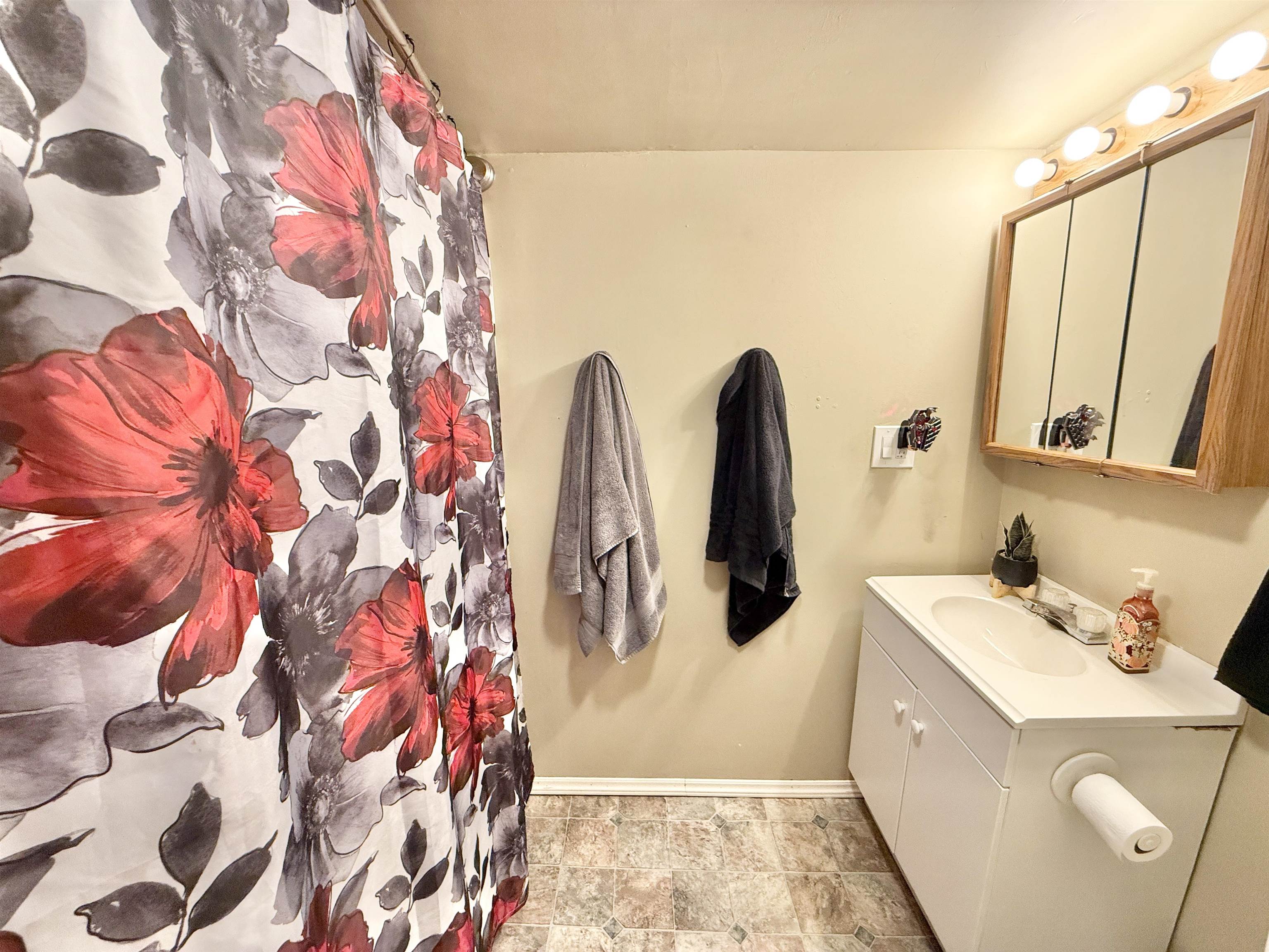 503 South 3rd Street Oregon, IL 61061 - Photo 20 of 22 a bathroom with a sink and mirror
