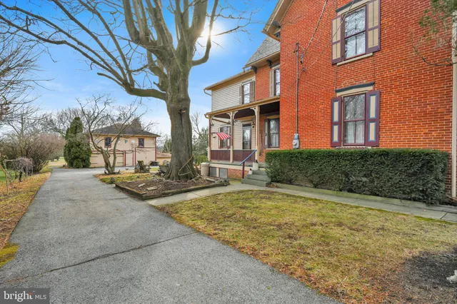 a view of road with large trees