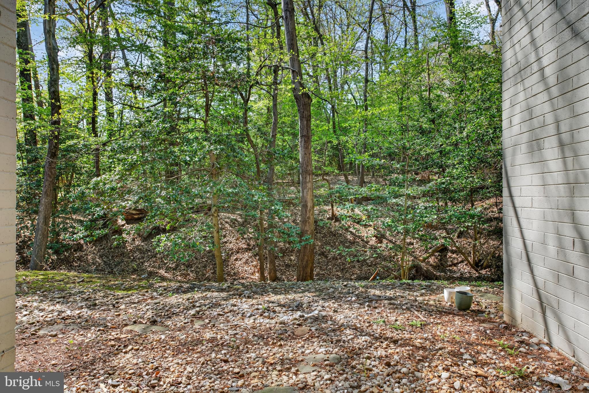 11735 Ledura Court, Unit T1 Reston, VA 20191 - Photo 20 of 29 View of Backyard