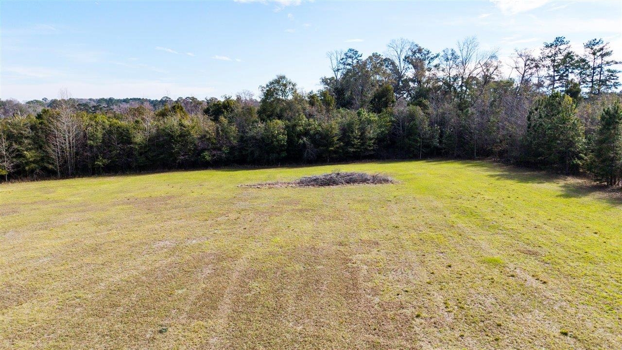 Luten Road Quincy, FL 32352 - Photo 24 of 42