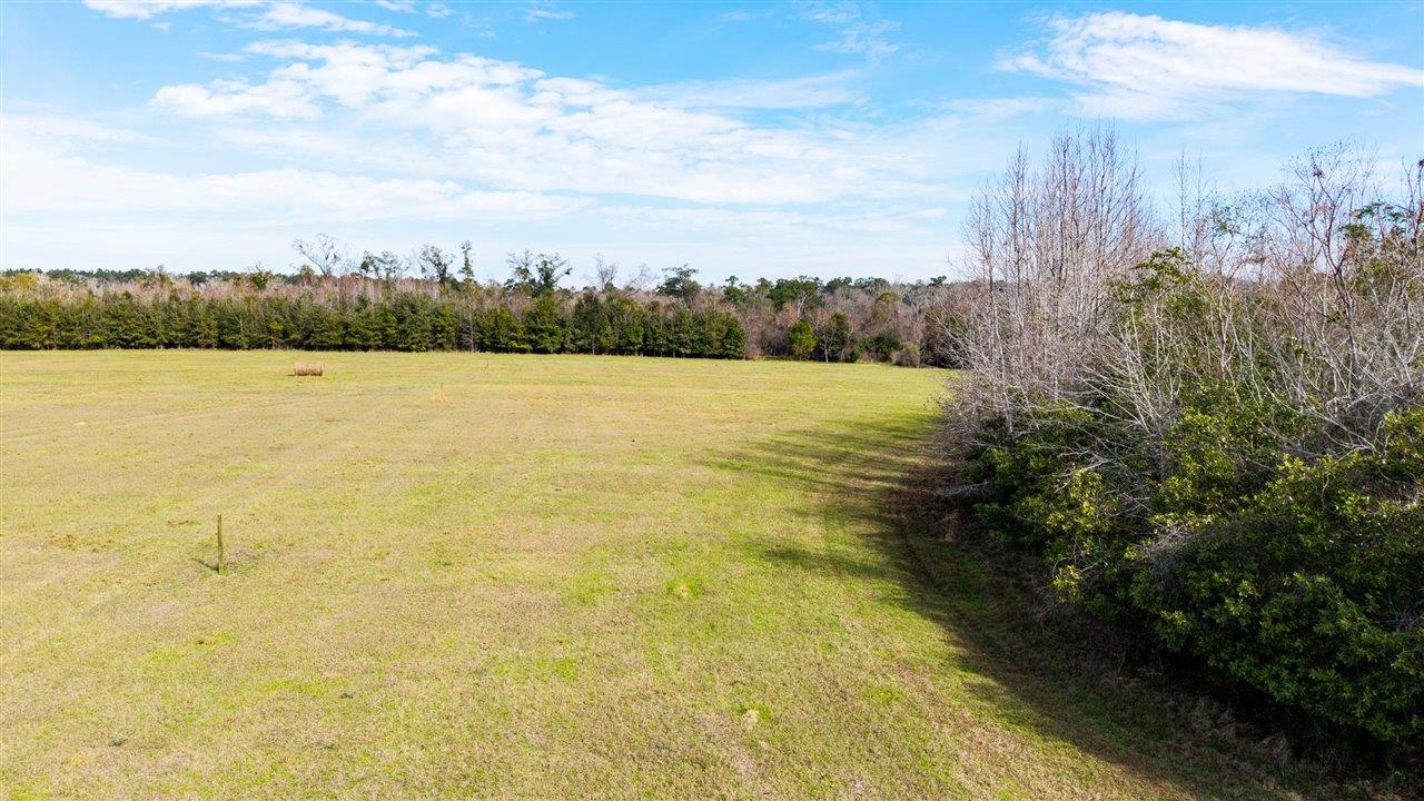 Luten Road Quincy, FL 32352 - Photo 27 of 42