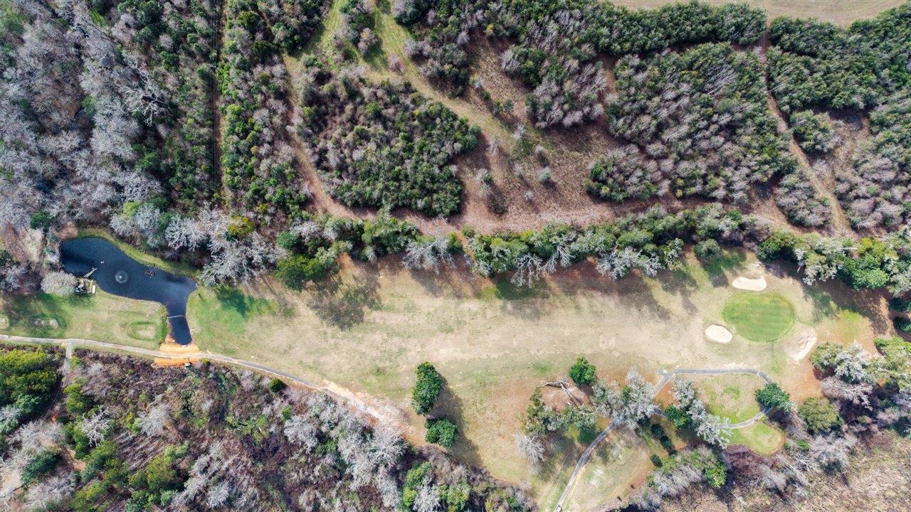 Luten Road Quincy, FL 32352 - Photo 7 of 42