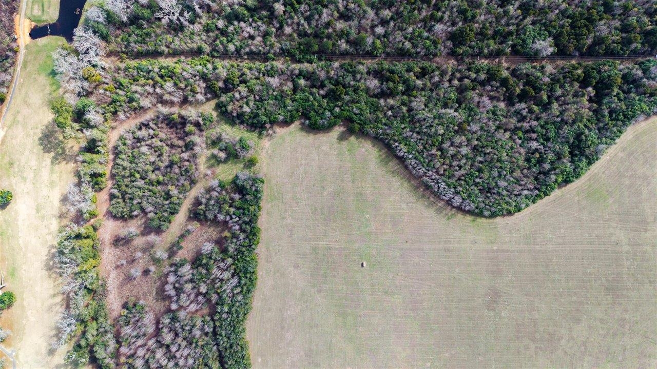 Luten Road Quincy, FL 32352 - Photo 8 of 42