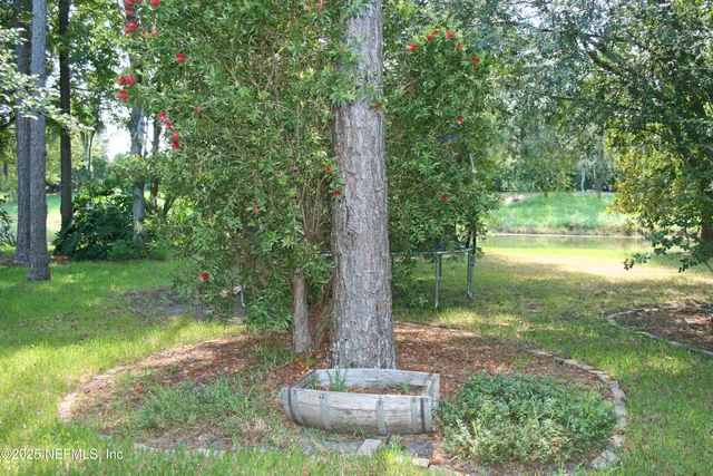 a view of a garden with a fountain