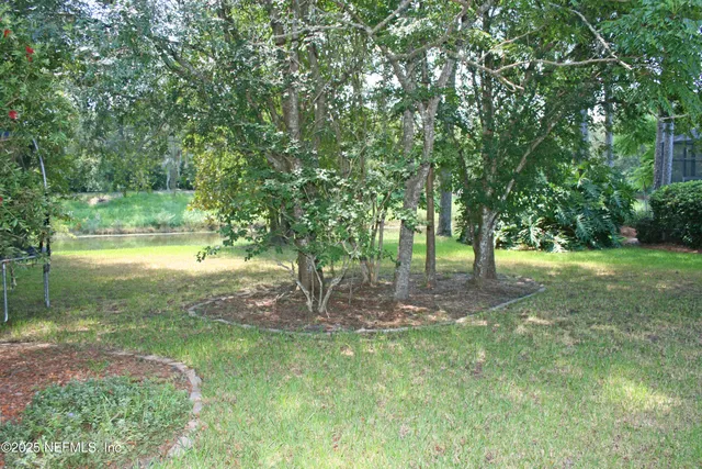 a view of a garden with trees