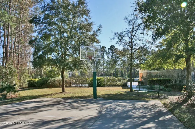 a view of a yard with tree s