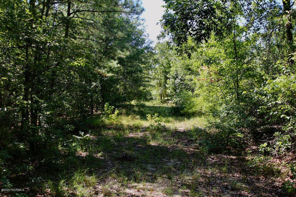8915 River Road Vanceboro, NC 28586 - Photo 32 of 51 IMG_7689