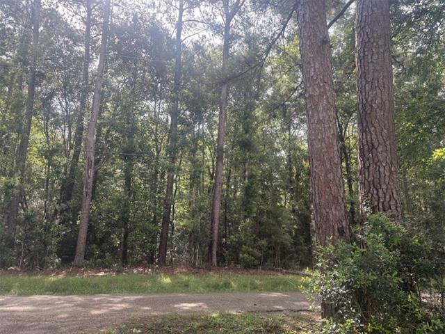 76029 Bob Levy Road Abita Springs, LA 70420 - Photo 19 of 22
