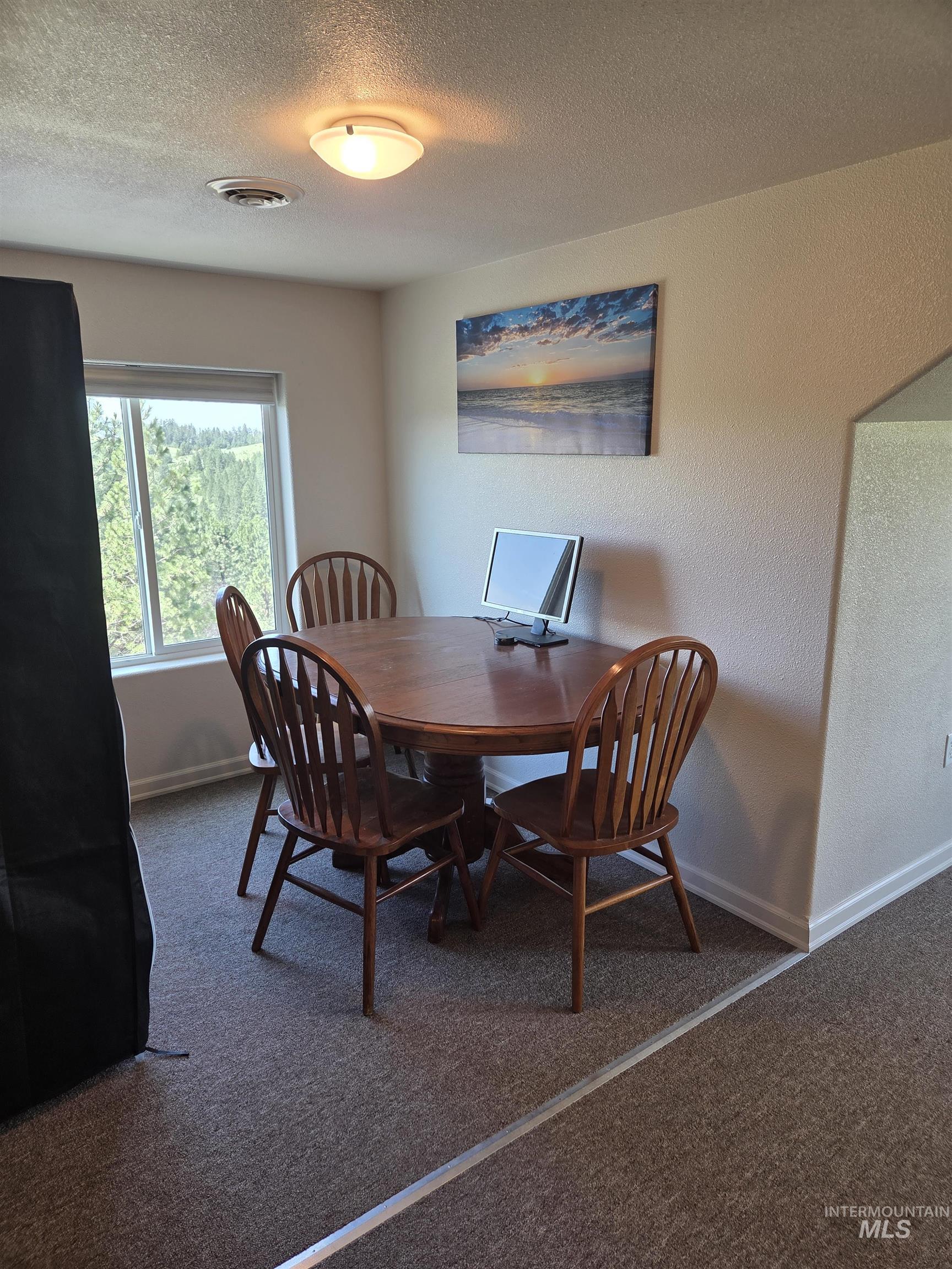 1085 Wallen Road Moscow, ID 83843 - Photo 35 of 50 Room featuring a window with a natural outdoor backdrop, carpeted flooring, and a ceiling-mounted light fixture