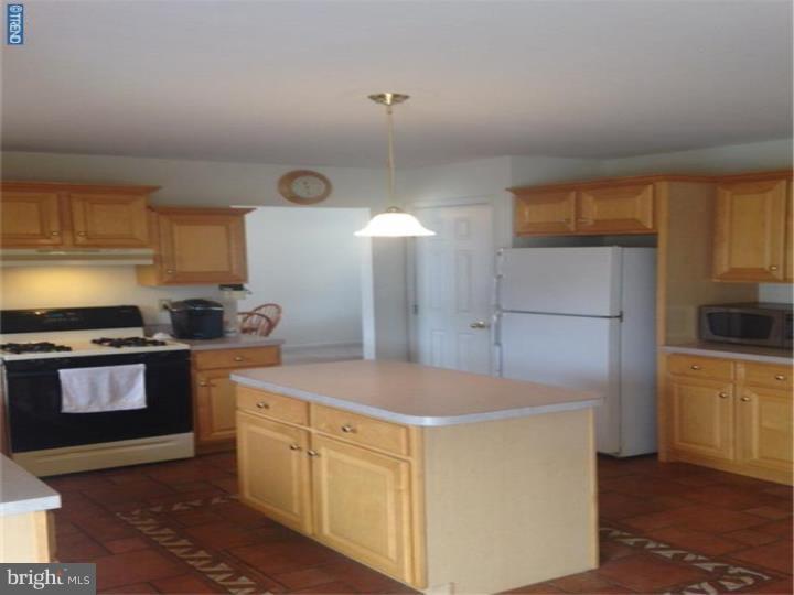 304 Elizabeth Drive Sinking Spring, PA 19608 - Photo 6 of 19 Kitchen