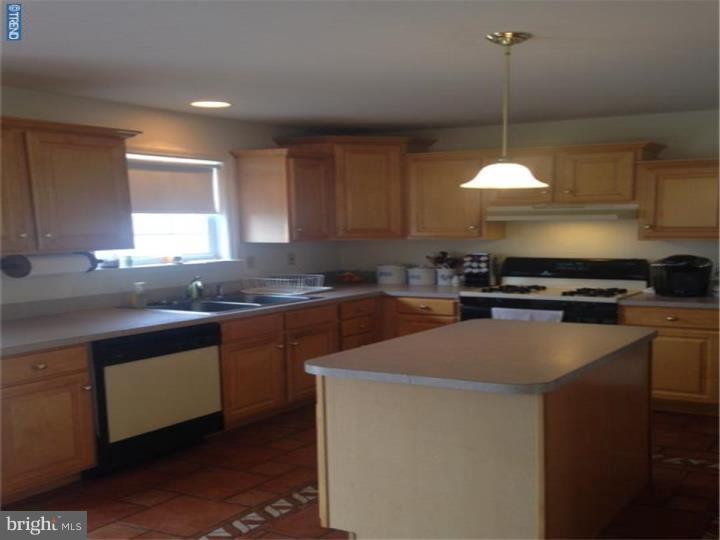 304 Elizabeth Drive Sinking Spring, PA 19608 - Photo 7 of 19 Kitchen