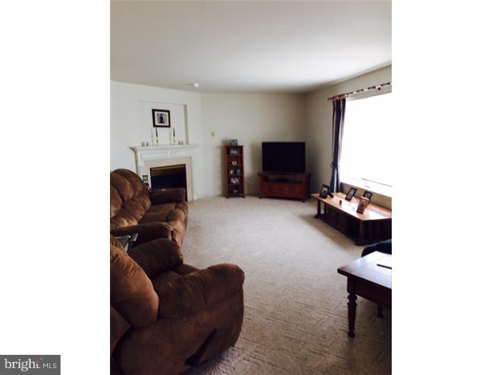 304 Elizabeth Drive Sinking Spring, PA 19608 - Photo 10 of 19 Family Room