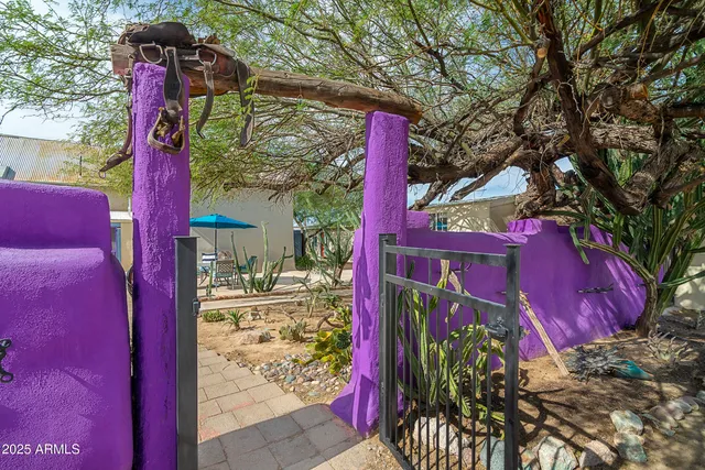 a white house that has tree in front of it