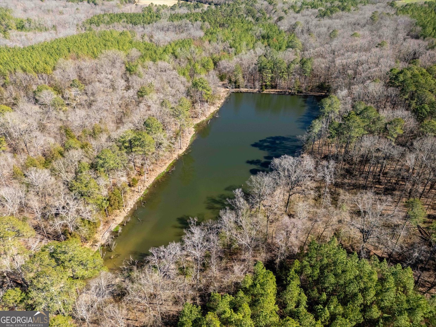 0 Quaker Springs Road Washington, GA 30673 - Photo 11 of 23