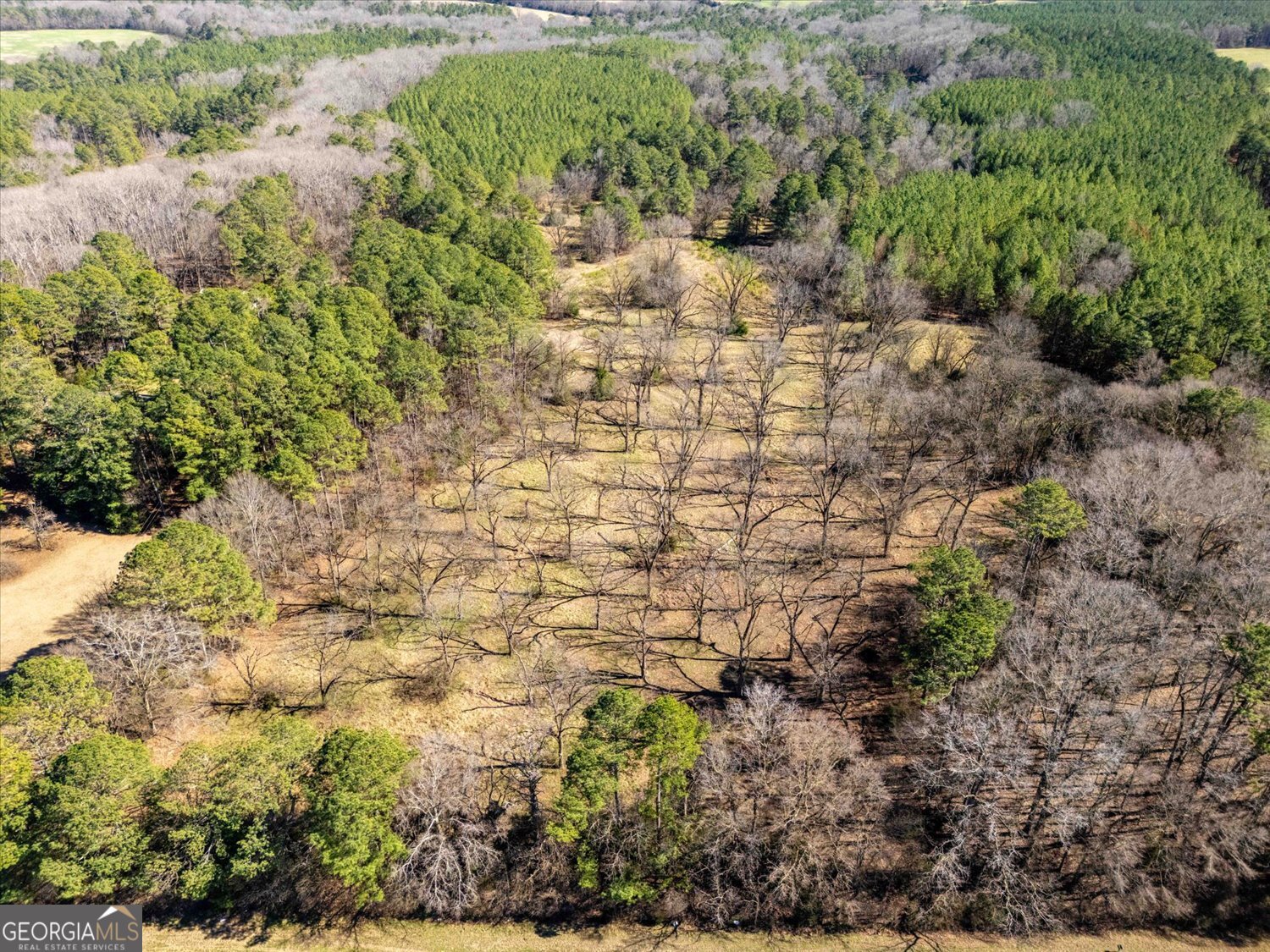 0 Quaker Springs Road Washington, GA 30673 - Photo 12 of 23