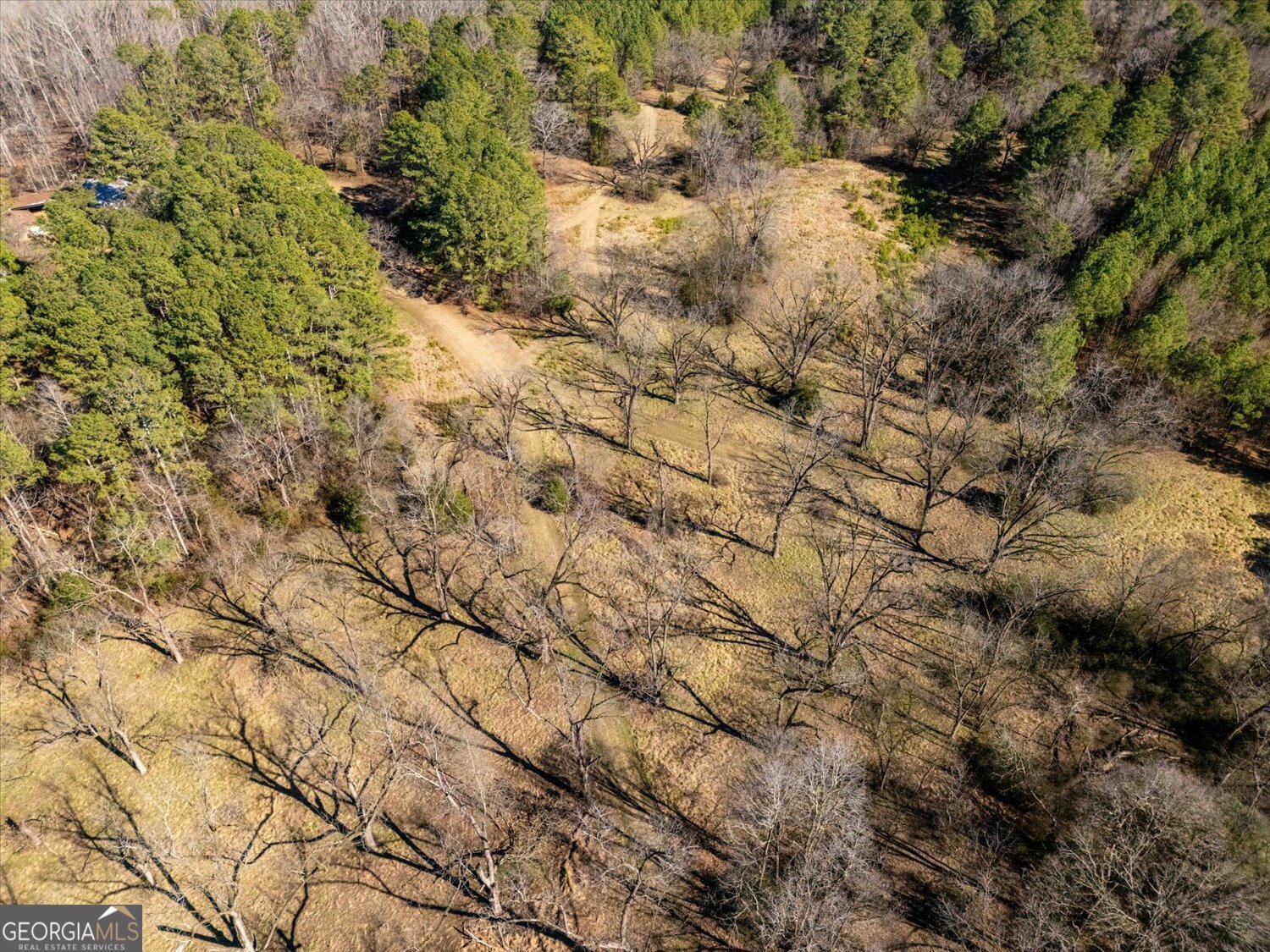 0 Quaker Springs Road Washington, GA 30673 - Photo 13 of 23