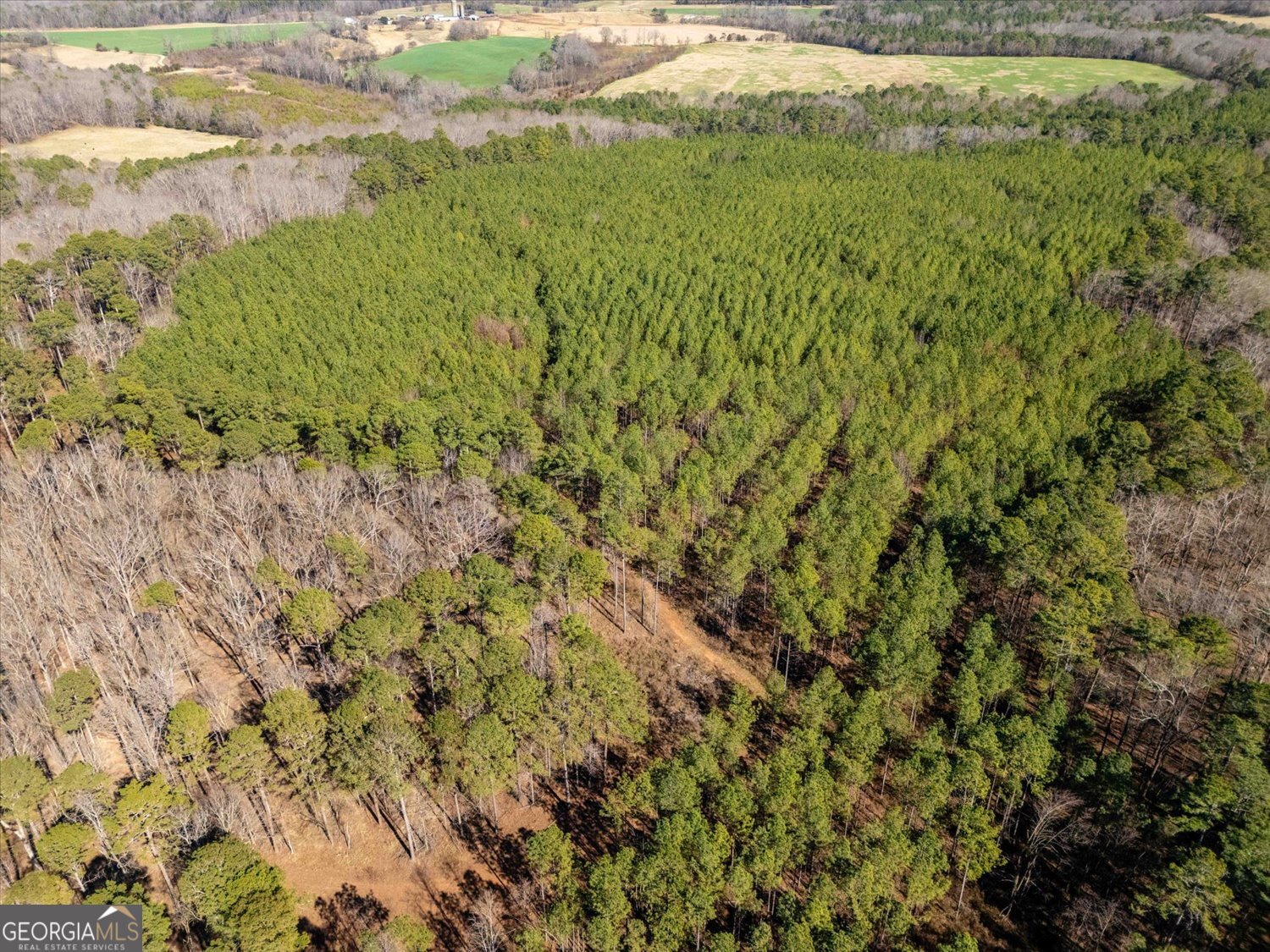 0 Quaker Springs Road Washington, GA 30673 - Photo 21 of 23