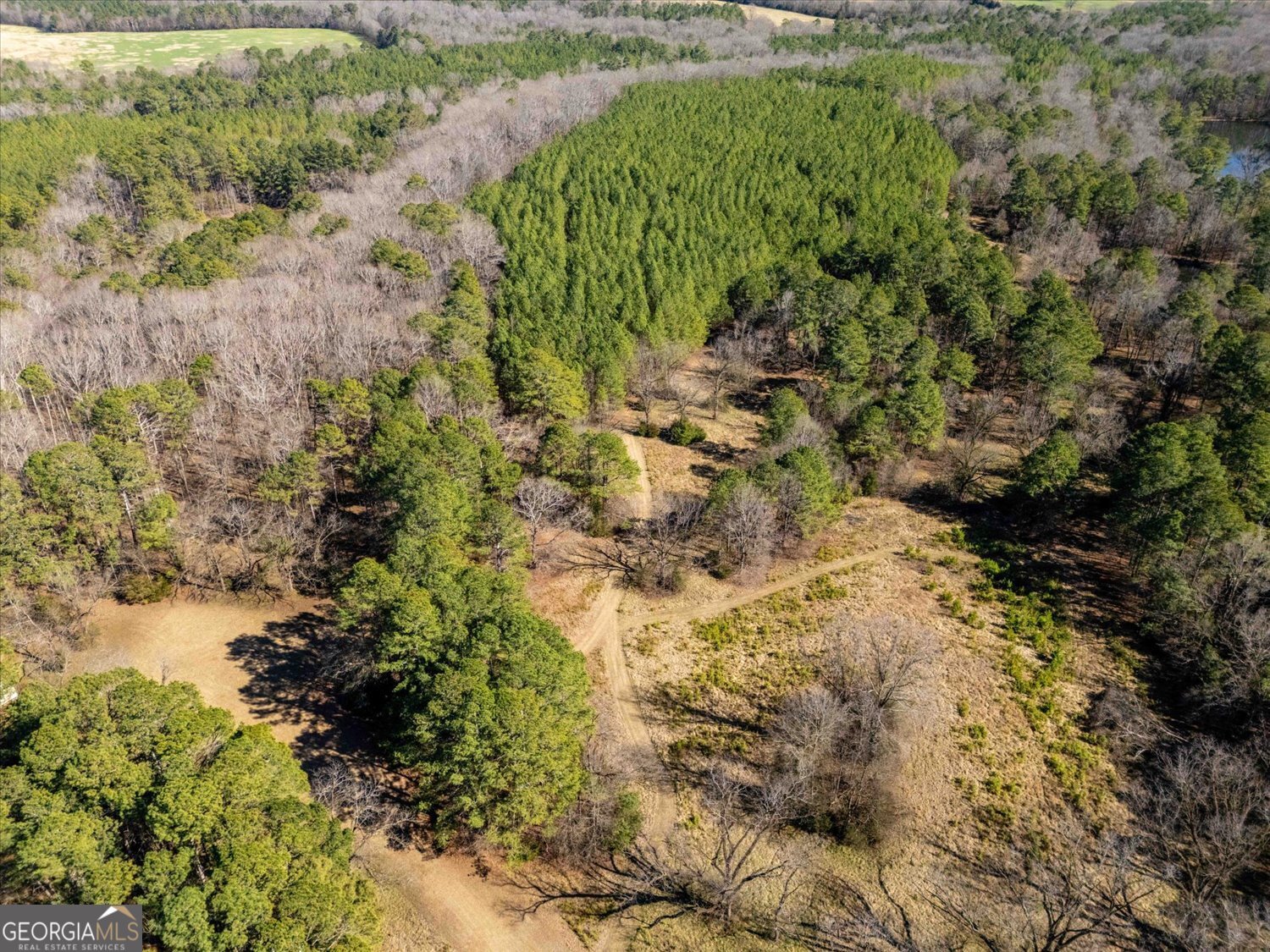 0 Quaker Springs Road Washington, GA 30673 - Photo 22 of 23