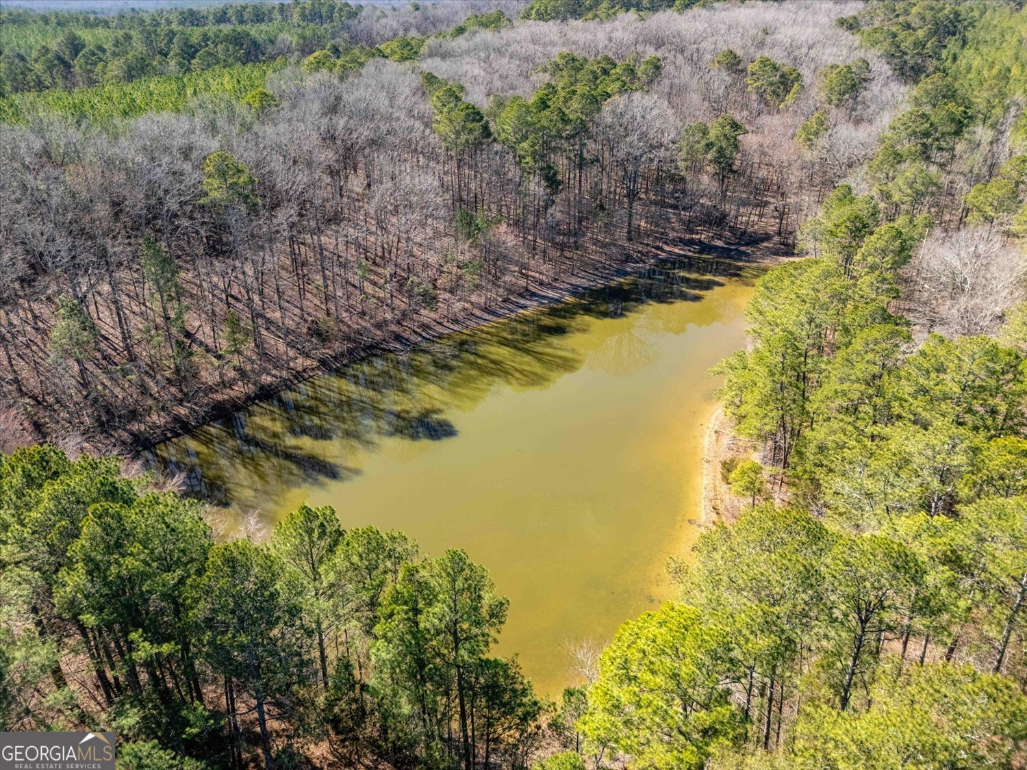 0 Quaker Springs Road Washington, GA 30673 - Photo 23 of 23