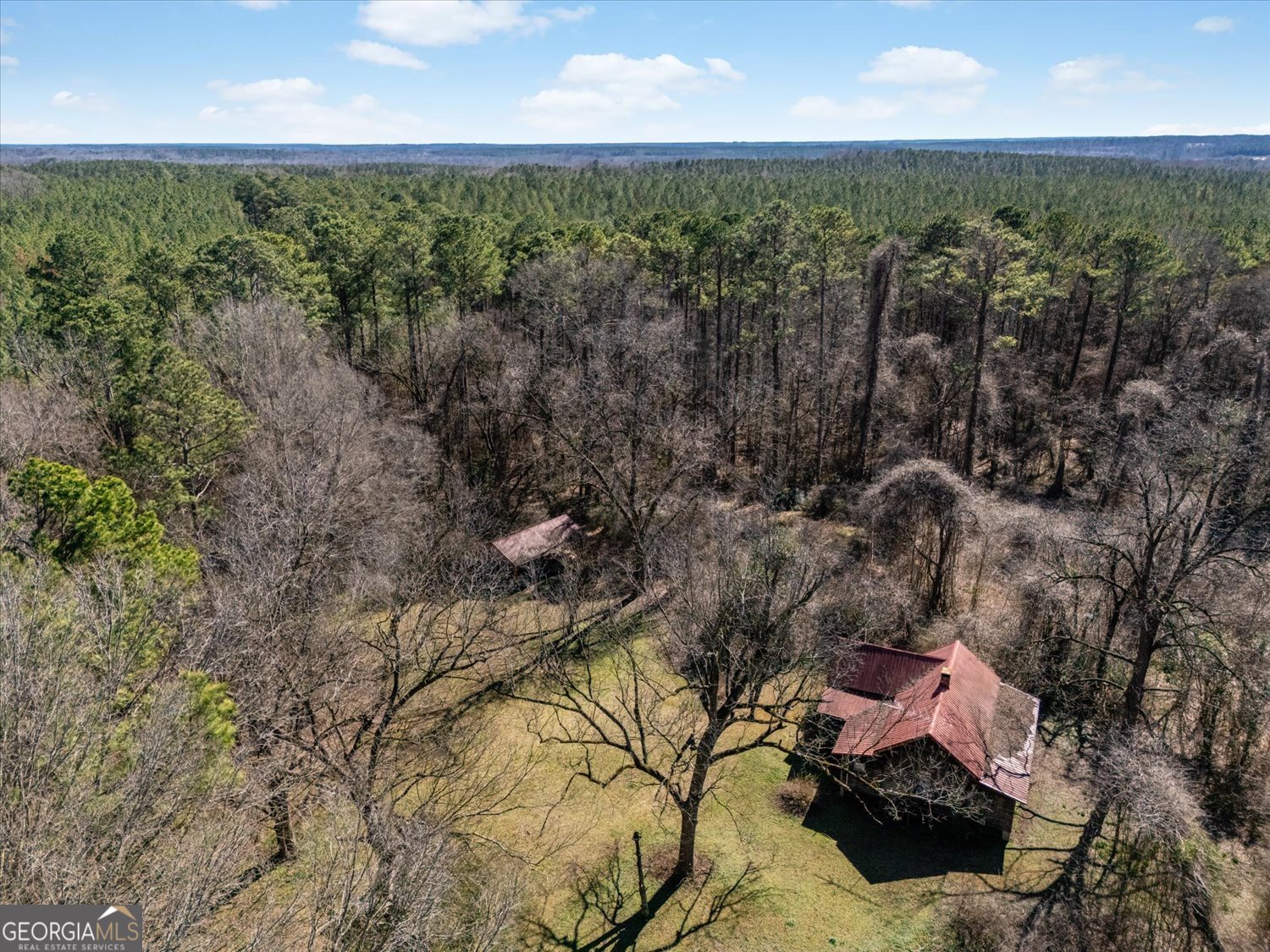 0 Quaker Springs Road Washington, GA 30673 - Photo 5 of 23