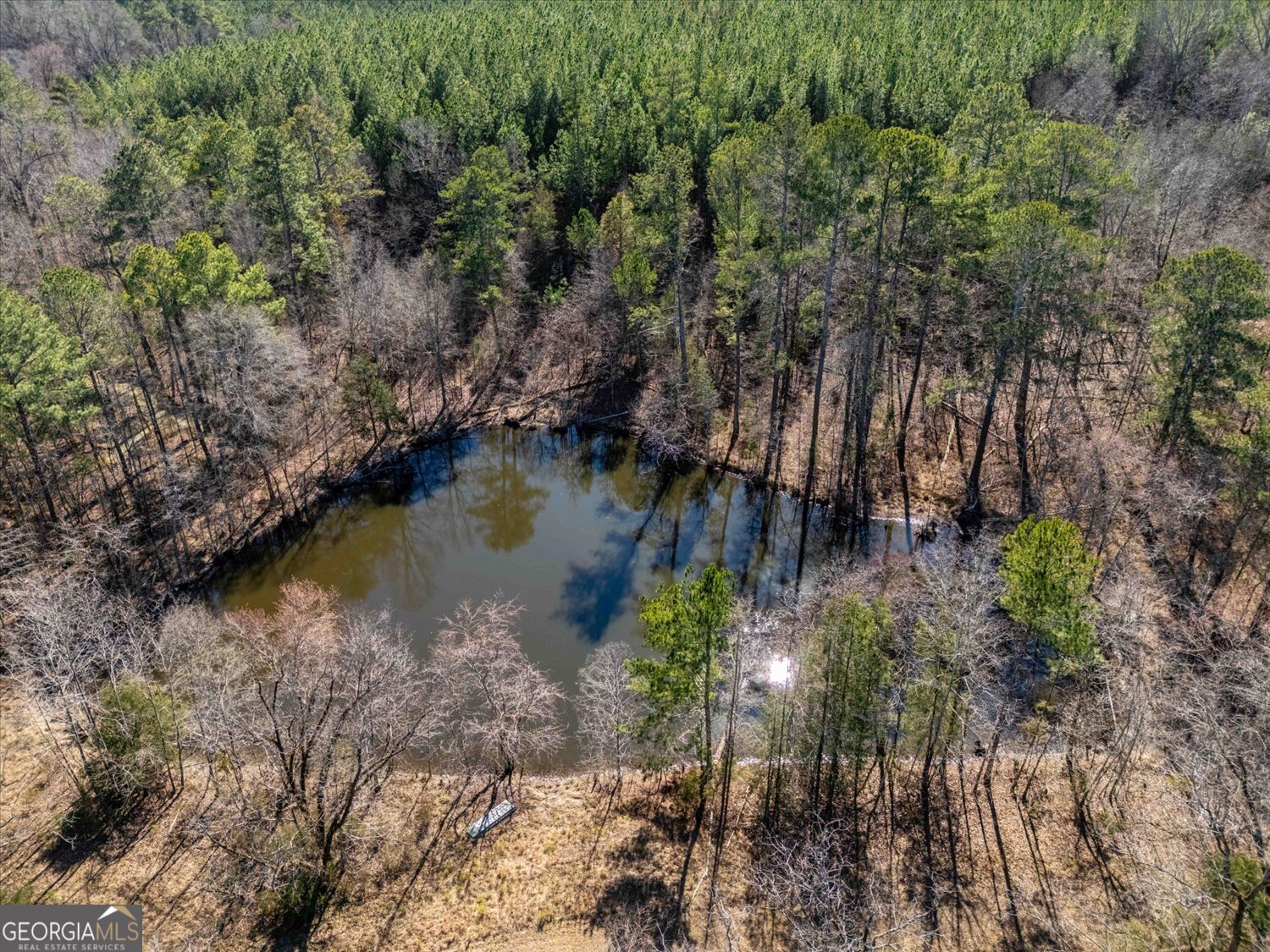 0 Quaker Springs Road Washington, GA 30673 - Photo 10 of 23