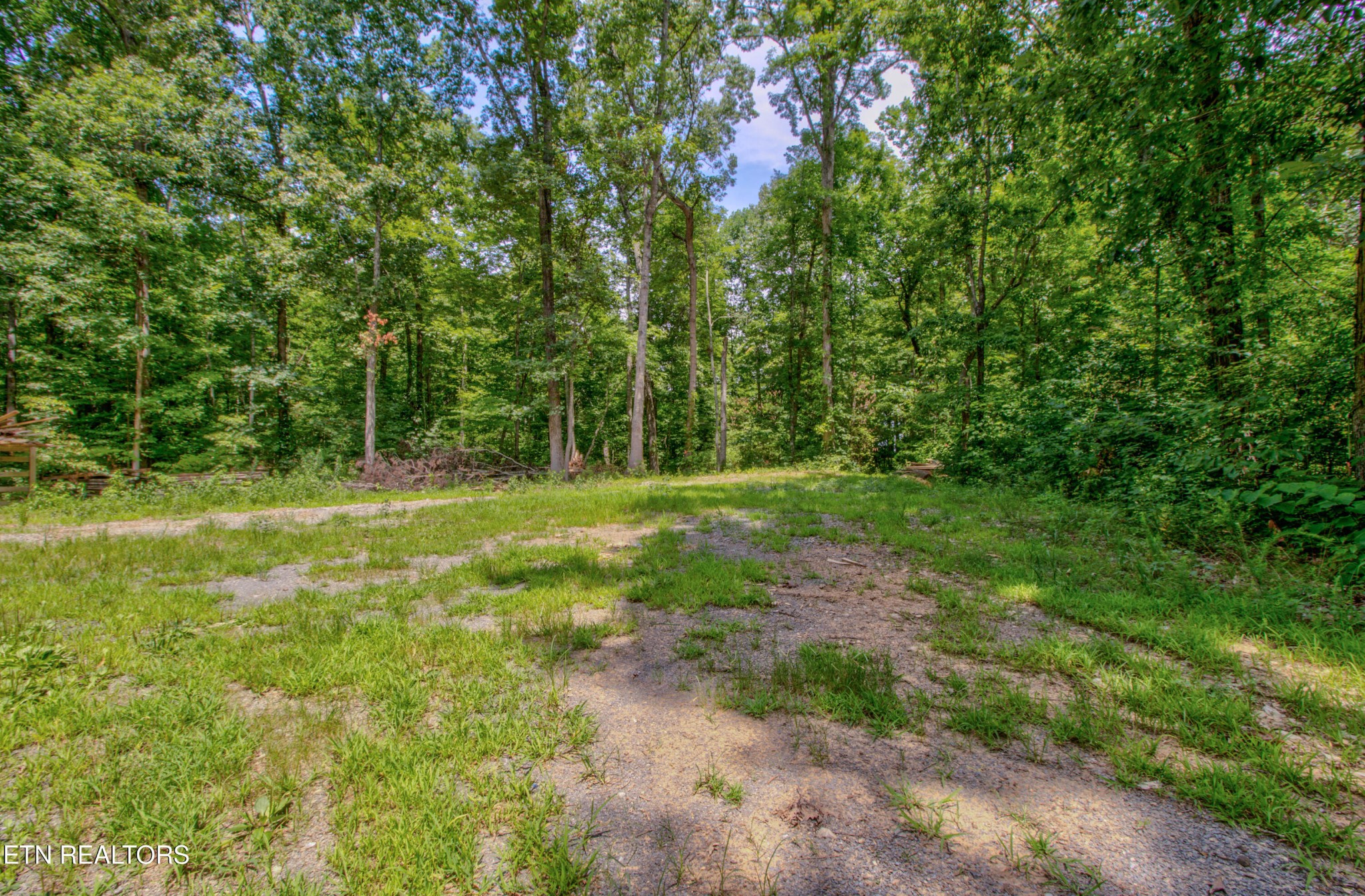 8668 Lakeshore Drive Rutledge, TN 37861 - Photo 33 of 58 Gallery Image 33