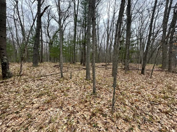 $79,900 | Parcel D Coates Highway, Brethren, MI 49619