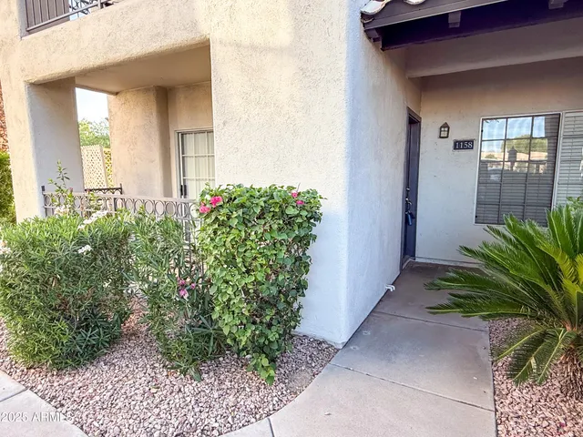 a potted plant sitting in front of a house