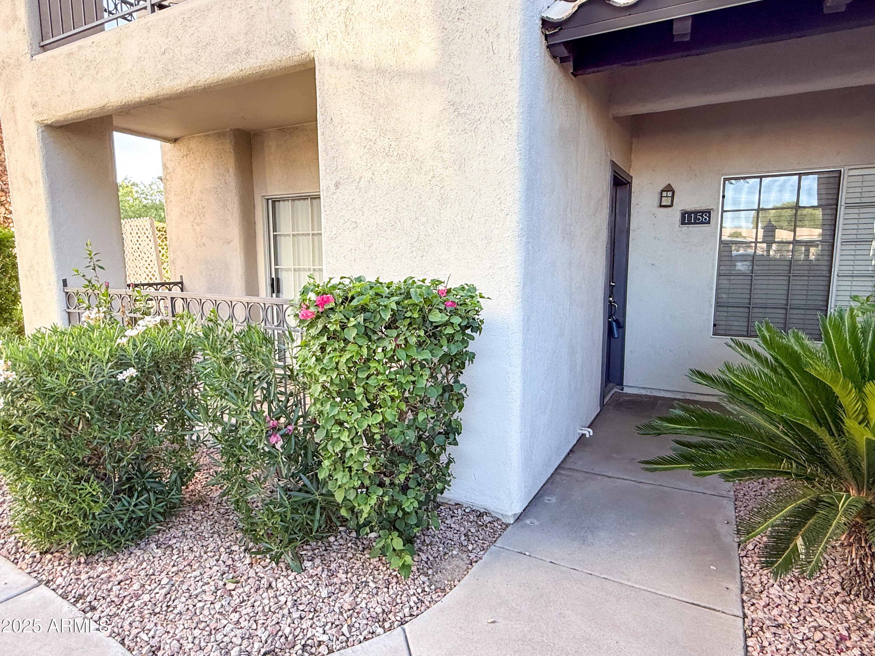 a potted plant sitting in front of a house