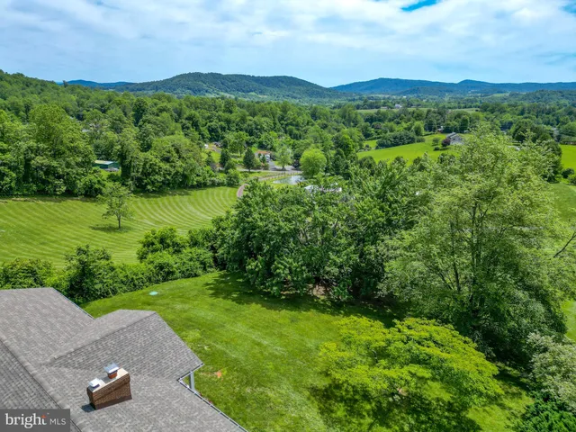 a view of a lush green outdoor space with a lake view