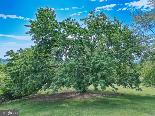 $630,000 | 40 Antique Lane, Sperryville, VA 22740