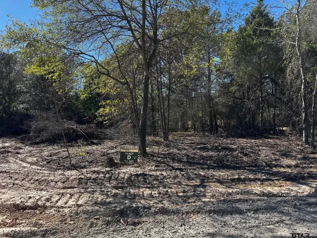 $250,000 | 397 Private Road 8507, Van, TX 75790