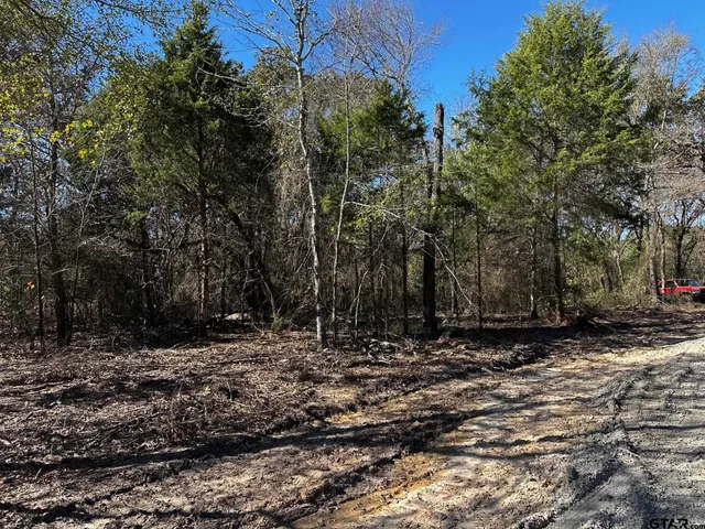 $250,000 | 397 Private Road 8507, Van, TX 75790