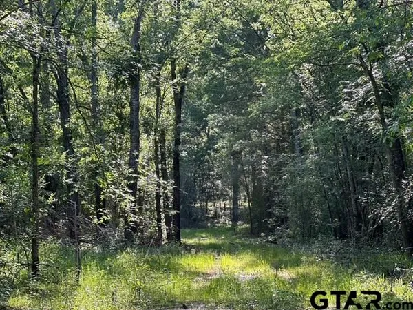 $250,000 | 397 Private Road 8507, Van, TX 75790