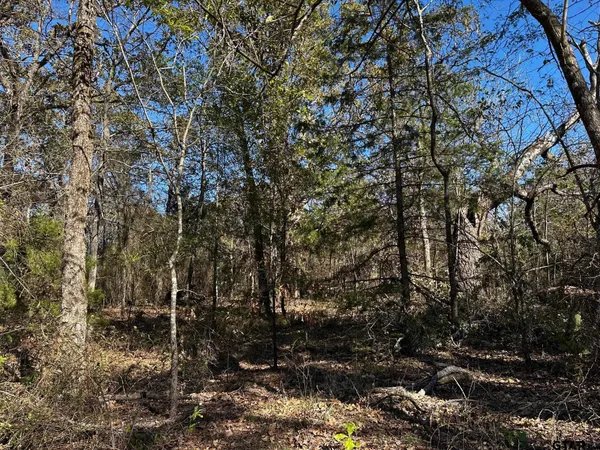 $250,000 | 397 Private Road 8507, Van, TX 75790