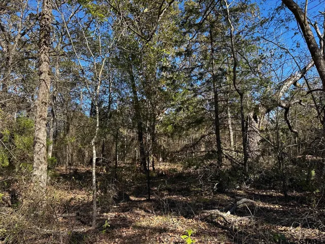 $250,000 | 397 Private Road 8507, Van, TX 75790