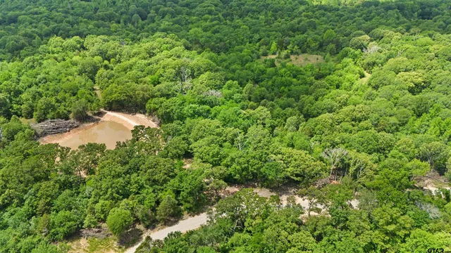 $250,000 | 397 Private Road 8507, Van, TX 75790