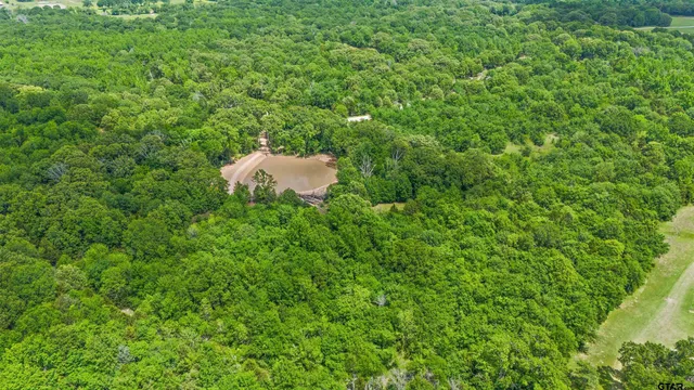 $250,000 | 397 Private Road 8507, Van, TX 75790