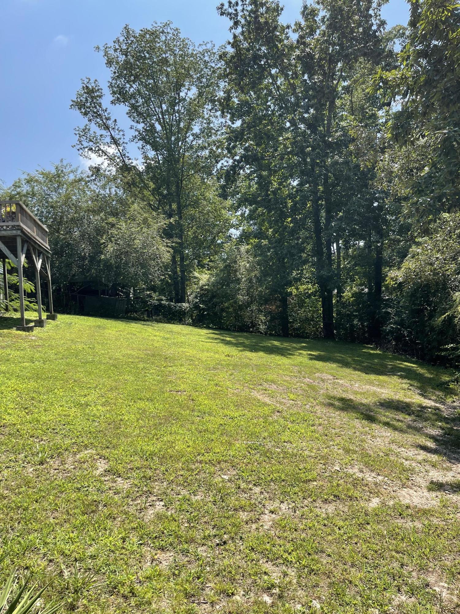 742 Holcomb Road Ringgold, GA 30736 - Photo 8 of 20 h6