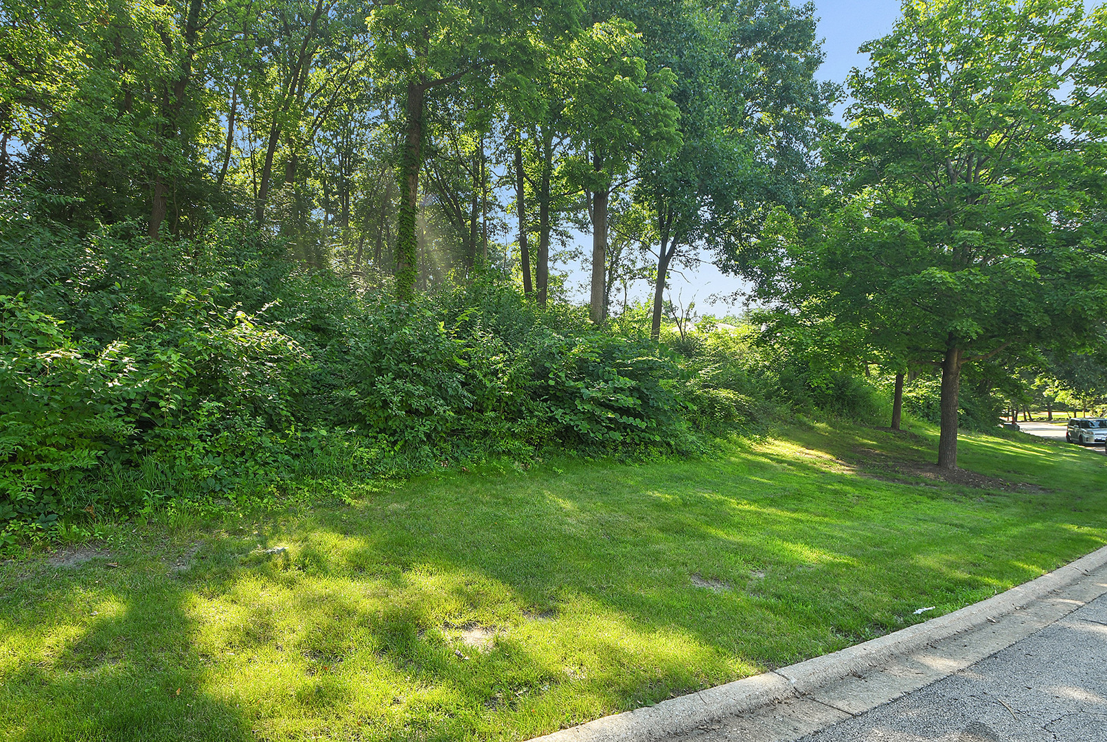 9620 Pacific Court Burr Ridge, IL 60527 - Photo 18 of 25