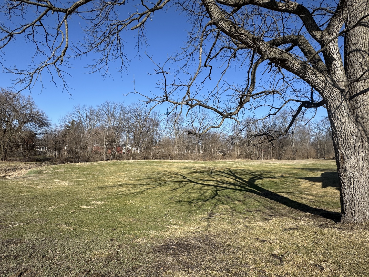 616 East Main Street Amboy, IL 61310 - Photo 2 of 24 a view of a yard with an outdoor space