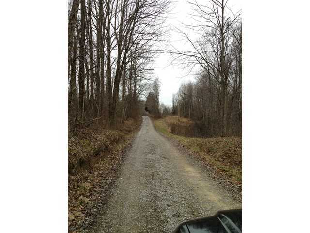 0 Telephone Tower Road Amesville, OH 45711 - Photo 4 of 4