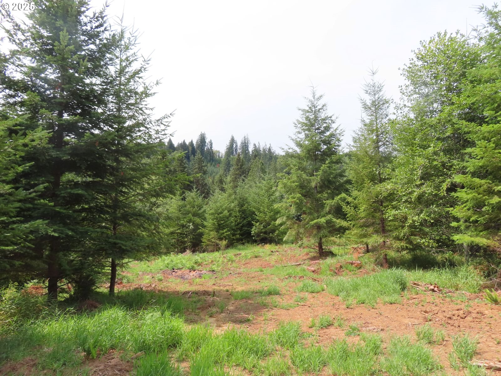 Mill Creek Lane, Unit G Longview, WA 98632 - Photo 4 of 26