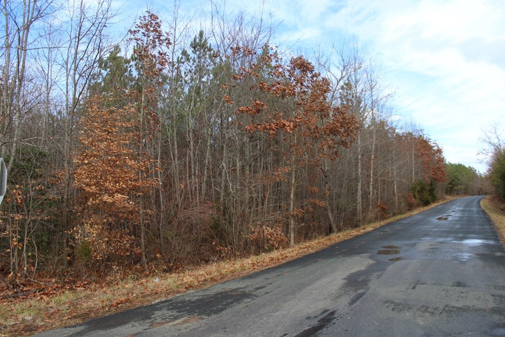 617 Stanton Town Road Dillwyn, VA 23936 - Photo 9 of 19 Gallery Image 9