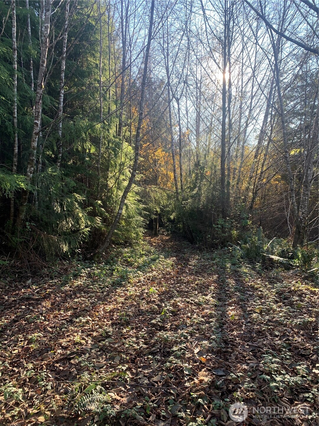 3-tract Parpala Road Naselle, WA 98638 - Photo 1 of 25 a big yard with lots of green space and house view
